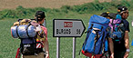 Camino de Santiago
